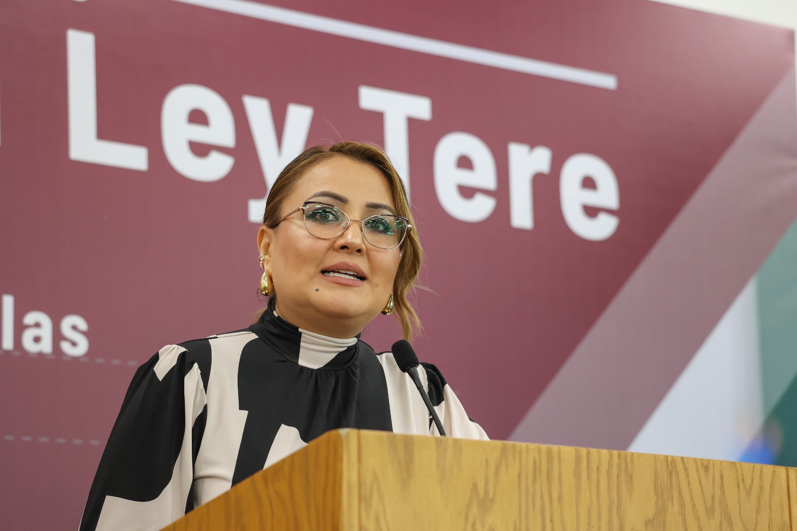 Gayou se reúne con integrantes del gremio magisterial, para socializar  la denominada “Ley Tere”